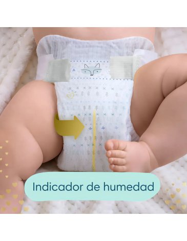 Pañales Pampers Deluxe Xxg x54 - PAMPERS