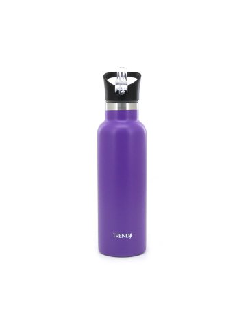 Botella Termica  500 ML            - TRENDY