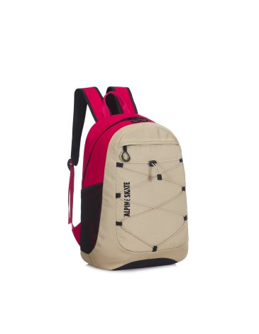 Mochila 18'' Pulgadas - ALPINE SKATE