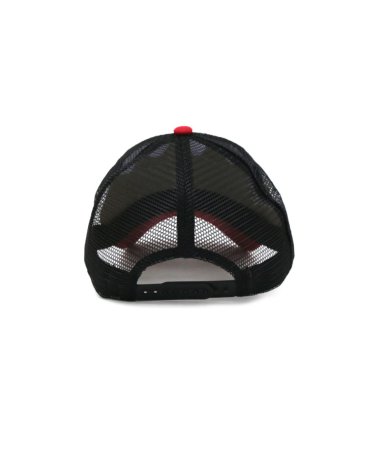 Gorra - ALPINE SKATE