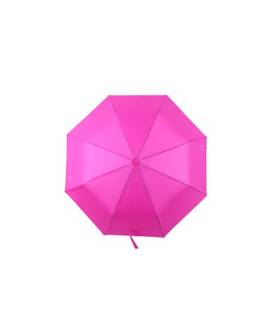 Paragua - TRENDY