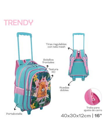 Mochila con Carro 16