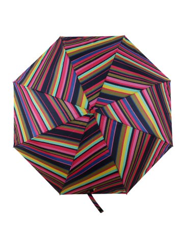Paragua - TRENDY