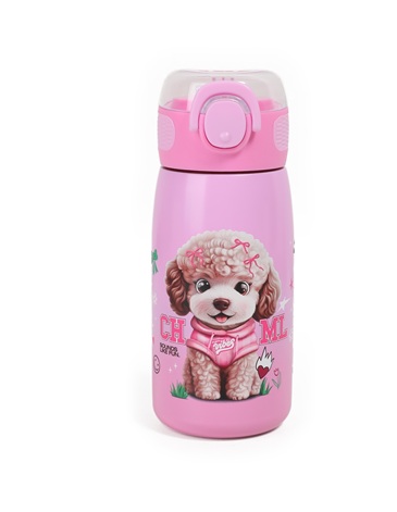 Botella termica 470ml CHIMOLA