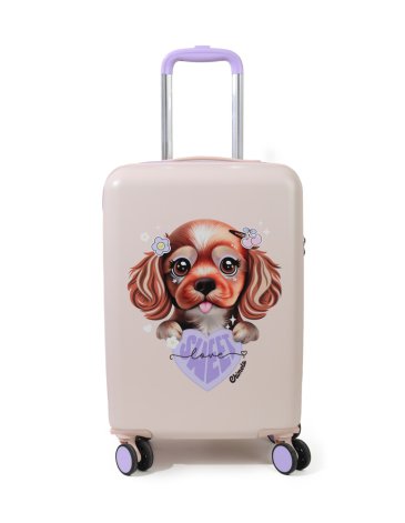 Valija Carry On 20