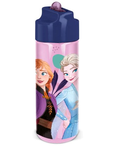 Venta por Mayor y Catalogo Botella Frozen 540 ML Wabro